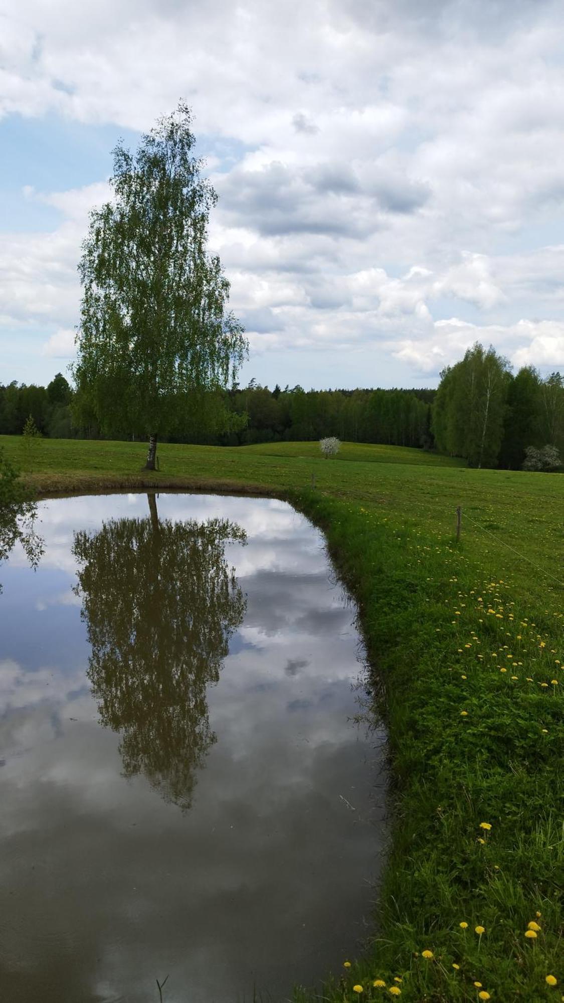 Straupe Guesthouse, Sauna & Jacuzzi In Gauja Valley - Kakukalns מראה חיצוני תמונה