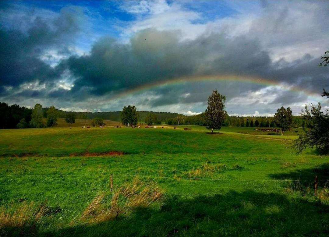 הוילה Straupe Unique Countryhouse & Sauna In Gauja Valley - Kakukalns מראה חיצוני תמונה